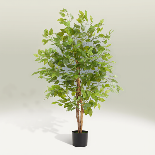 1 Ficus Artificiel Fida En Polyéthylène Vert