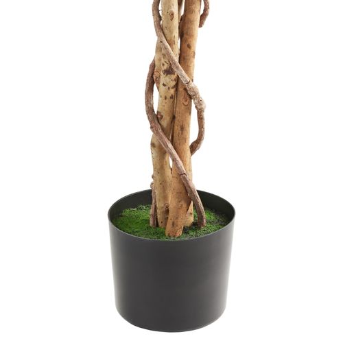 1 Ficus Artificiel Fida En Polyéthylène Vert