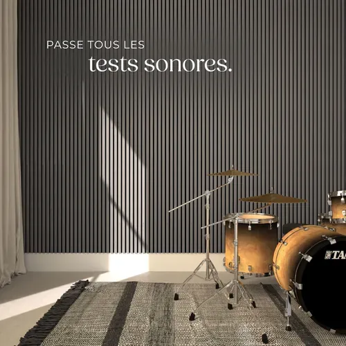 Panneaux Acoustiques Sonic Wall Ii Aspect Bois 110x50cm Mdf Chêne Gris Clair