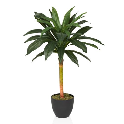 Dracaena Pianta Artificiale Alta 1,5 M Con Vaso Bianco - Finto Albero Yucca Per Interni, Decorazione Per Casa, Ufficio, Soggiorno