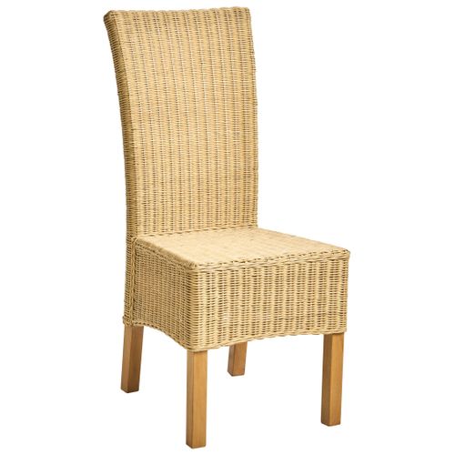 Lot De 2 Chaises De Salle à Manger Andes Rotin Naturel