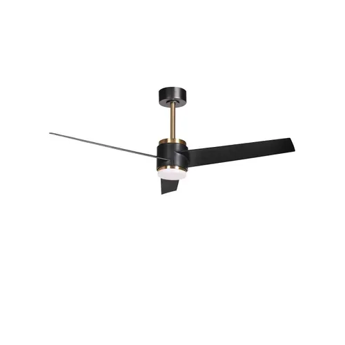 Ventilateur De Plafond Avec Lampe Trout Avec Télécommande LED Noir