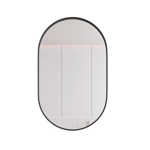 Armoire à Miroir Ovale Murale, Étagères Réglables, Salle De Bain, Noir