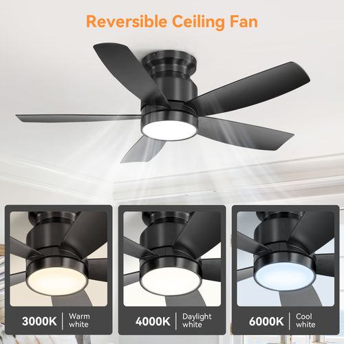 Ventilateur De Plafond 107 Cm Avec LED, Télécommande 6 Vitesses, Moteur Dc, Noir