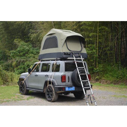 Tente De Toit Gonflable 1-3 Pers, Avec Pompe, Matelas 15 Cm Et Échelle - Noir/vert