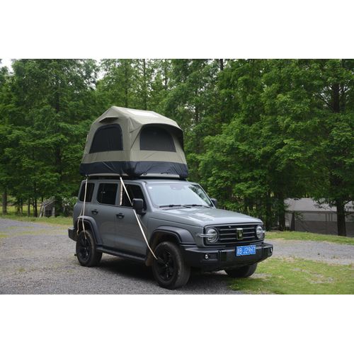 Tente De Toit Gonflable 1-3 Pers, Avec Pompe, Matelas 15 Cm Et Échelle - Noir/vert