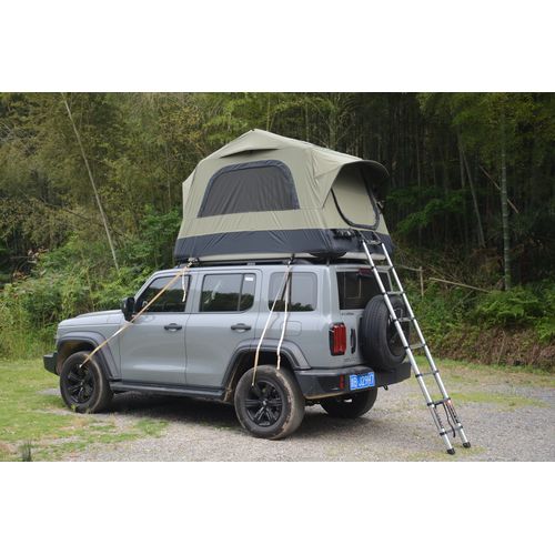Tente De Toit Gonflable 1-3 Pers, Avec Pompe, Matelas 15 Cm Et Échelle - Noir/vert