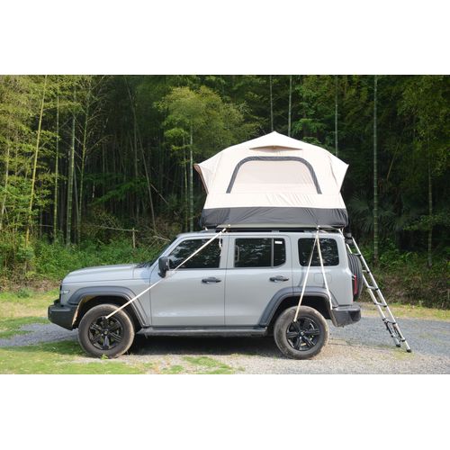 Tente De Toit Gonflable 1-3 Pers, Avec Pompe, Matelas Et Échelle Télescopique, Noir Et Crème