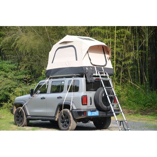 Tente De Toit Gonflable 1-3 Pers, Avec Pompe, Matelas Et Échelle Télescopique, Noir Et Crème