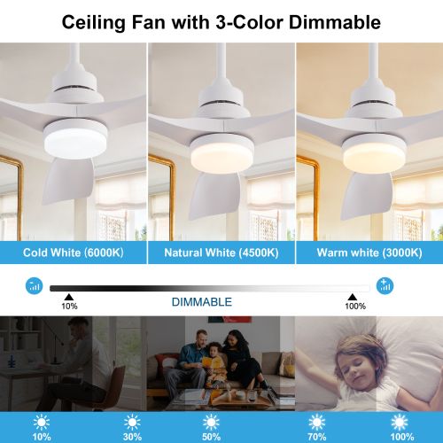 Ventilateur De Plafond Blanc 42 Pouces Avec Lumière LED, Télécommande, 3 Pales En Abs