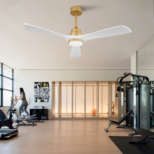 Ventilateur De Plafond, Lumière Et Télécommande, Métal Bois Blanc Et Doré