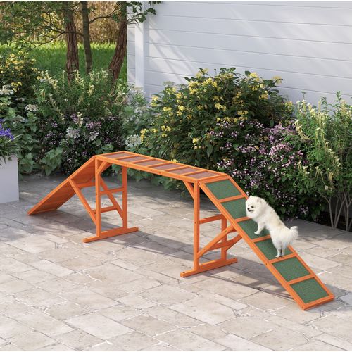 Rampe D'agility Pour Chien 325 X 55 X 69 Cm Orange