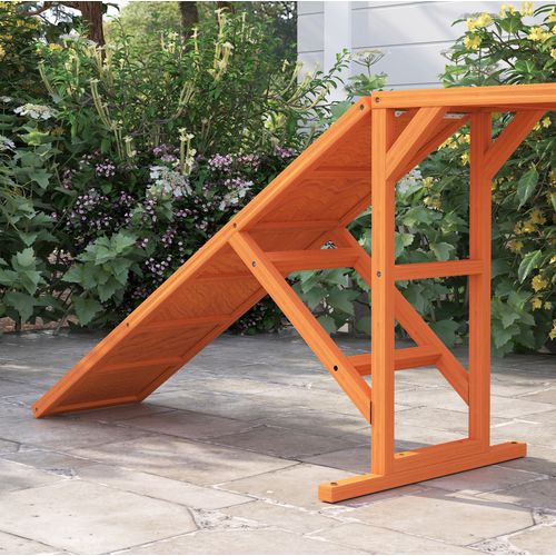 Rampe D'agility Pour Chien 325 X 55 X 69 Cm Orange