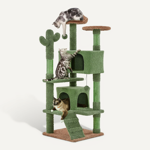 Arbre à Chat Design Cactus Tour Pour Chat Multiniveau Vert Et Brun
