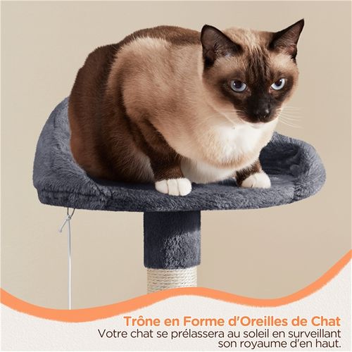 Arbre à Chat Multiniveau Tour Pour Chat Avec Perchoir à Oreilles De Chat