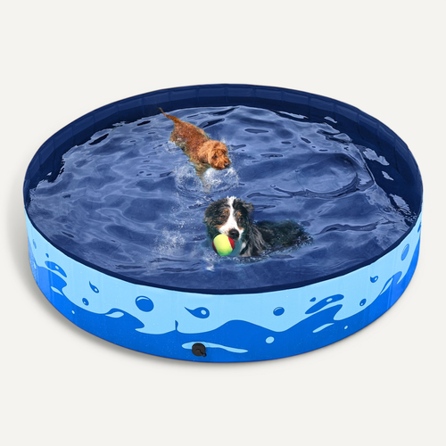 Piscine Pour Chien Pliable, Baignoire Portable Antidérapant Et Résistant, Bleu XXL