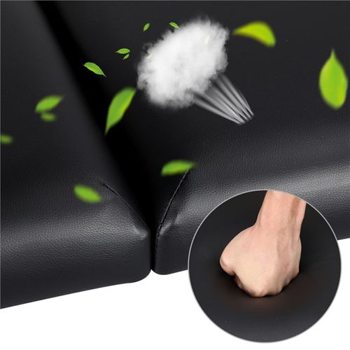 Table De Massage Portable Pliable à 2 Zones Noir