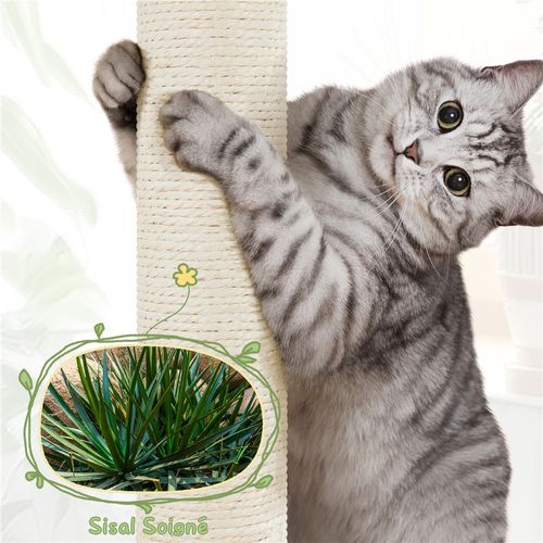 Arbre à Chat En Rotin Avec Cachette Ronde Panier Supérieur Griffoir En Sisal, Beige