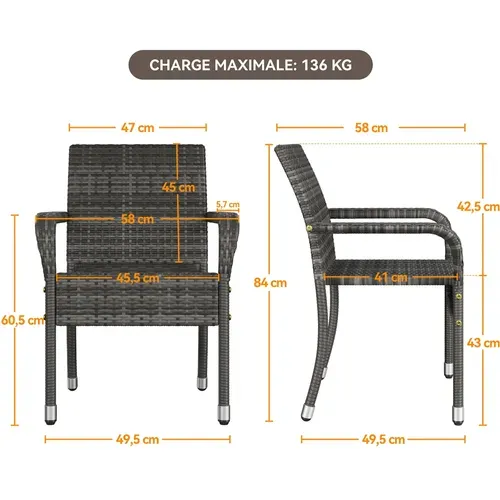 Lot De 2 Fauteuils De Jardin En Rotin Synthétique Avec Accoudoirs Et Cadre En Métal, Gris