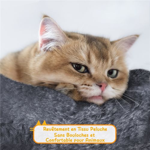 Arbre à Chat Plafond Réglable En Hauteur Avec Cachette Griffoirs En Sisal Gris Foncé