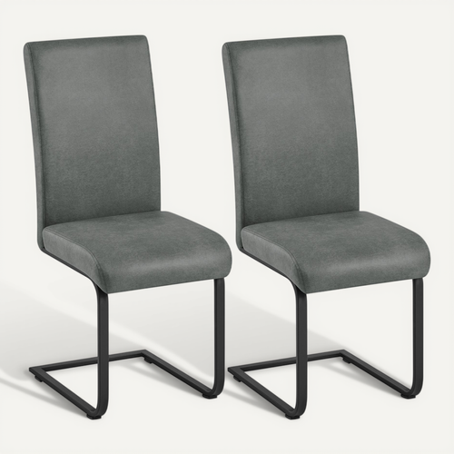 Lot De 2 Chaises De Salle à Manger Chaises Cantilever Avec Pieds Métalliques En U