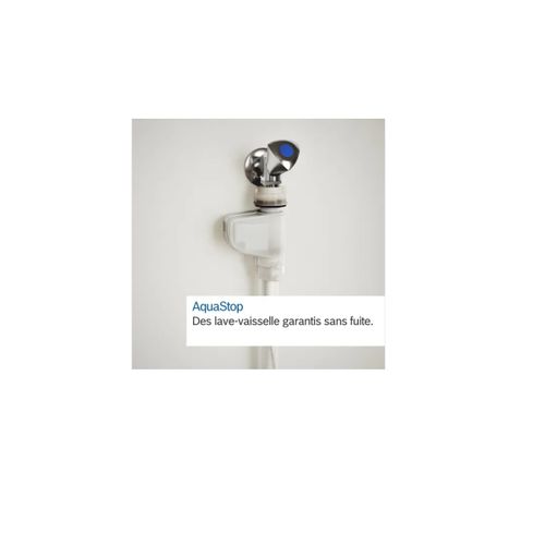 Lave-vaisselle pose libre BOSCH SMS4ETW00E 13 couverts