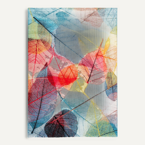 Tapis Faro Tropical Feuilles 120x170cm Multicolore