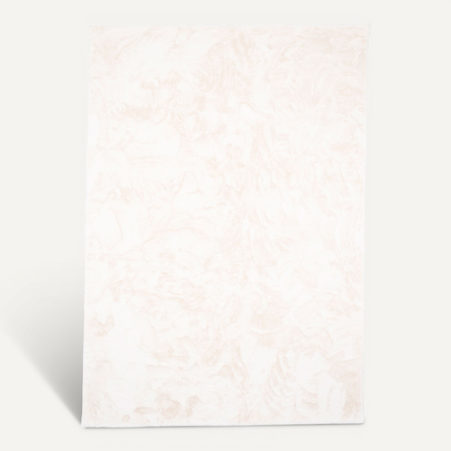 Tapis En Fourrure Plush 160x230cm Blanc