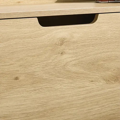 Meuble D'entrée, Armoire à Chaussures, Meuble De Rangement, Commode à 4 Abattants, Naturel,fsr100-n