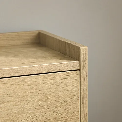 Meuble D'entrée, Armoire à Chaussures, Meuble De Rangement, Commode à 4 Abattants, Naturel,fsr100-n