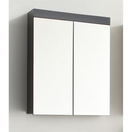 Meuble De Salle De Bain - Armoire De Toilette - Miroir - 2 Portes - Gris - L60xp17xh77cm - Amanda
