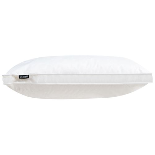 Lot De 2 Oreillers En Plumes Et Duvet De Canard 50 X 60 Cm Feldberg