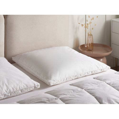 Lot De 2 Oreillers Plume Et Duvet D'oie 48x74 Cm - Rectangulaires - Fermeté Moyenne