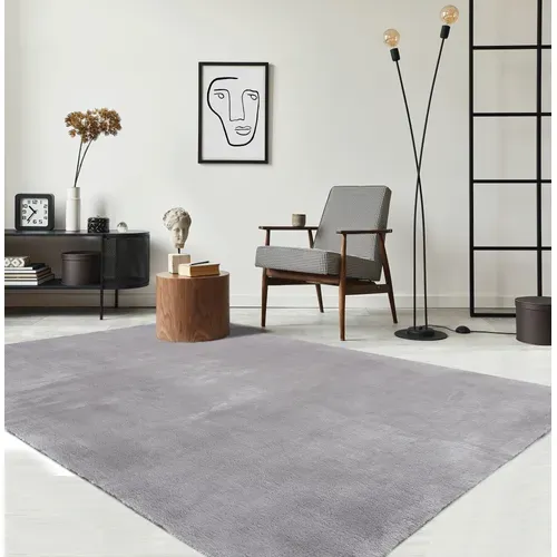 Tapis Moelleux Poils Courts, Antidérapant, Lavable, Soft, Gris, 200 X 280 Cm
