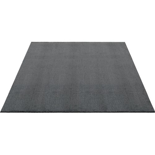 Tapis Moelleux Poils Courts, Antidérapant, Lavable, Soft, Anthracite, 60 X 110 Cm