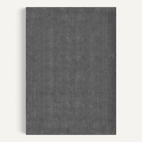 Tapis Moelleux Poils Courts, Antidérapant, Lavable, Soft, Anthracite, 60 X 110 Cm