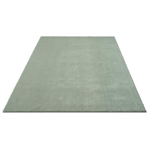 Tapis Moelleux Poils Courts, Antidérapant, Lavable, Soft, Vert, 60 X 110 Cm