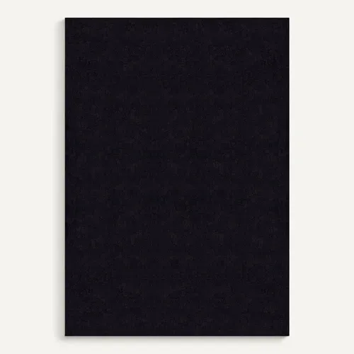 Tapis Moelleux Poils Courts, Antidérapant, Lavable, Soft, Noir, 160 X 220 Cm