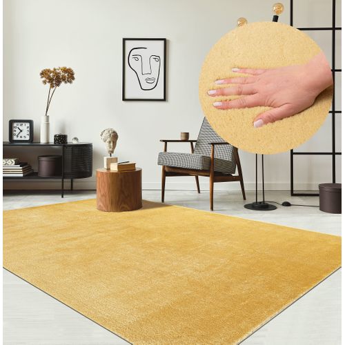 Tapis Moelleux Poils Courts, Antidérapant, Lavable, Soft, Or, 160 X 220 Cm