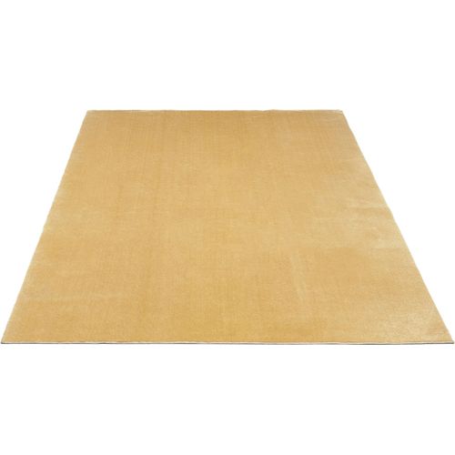 Tapis Moelleux Poils Courts, Antidérapant, Lavable, Soft, Or, 160 X 220 Cm