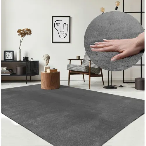 Tapis Moelleux Poils Courts, Antidérapant, Lavable, Soft, Anthracite, 300 X 400 Cm