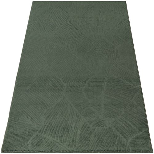 Tapis Rio Salon Antidérapant Feuilles, Forêt, 120x160 Cm