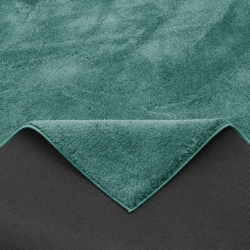 Tapis à Poils Longs Silky 120x170cm Vert Clair