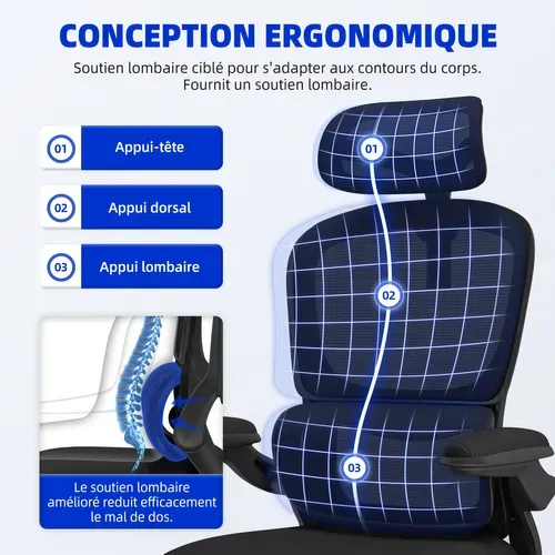Fauteuil De Bureau, Accoudoirs Pliables, Soutien Lombaire Ergonomique, Fonction De Bascule, Noir
