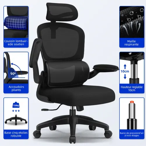 Fauteuil De Bureau, Accoudoirs Pliables, Soutien Lombaire Ergonomique, Fonction De Bascule, Noir