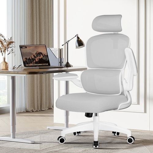 Fauteuil De Bureau, Accoudoirs Pliable, Inclinable, Soutien Lombaire Ergonomique,gris
