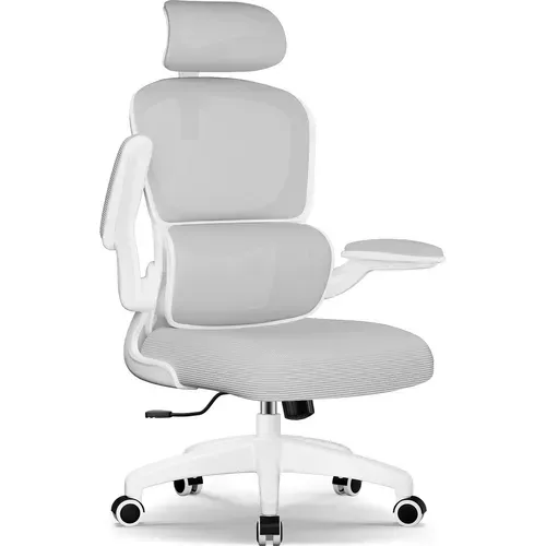 Fauteuil De Bureau, Accoudoirs Pliable, Inclinable, Soutien Lombaire Ergonomique,gris