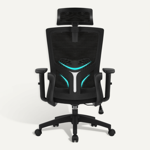 Fauteuil De Bureau Ergonomique Chaise De Bureau, Support Lombaire Réglable, Appui-tête Et Accoudoirs