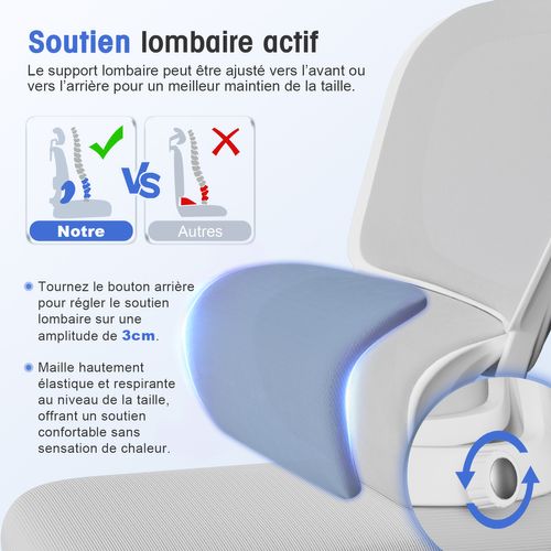Chaise De Bureau Ergonomique,fauteuil De Bureau , Inclinable Pivotant, Support Lombaire, Appui-tête