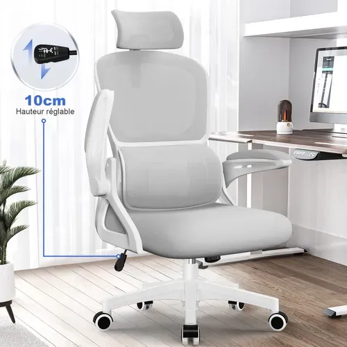 Chaise De Bureau Ergonomique,fauteuil De Bureau , Inclinable Pivotant, Support Lombaire, Appui-tête